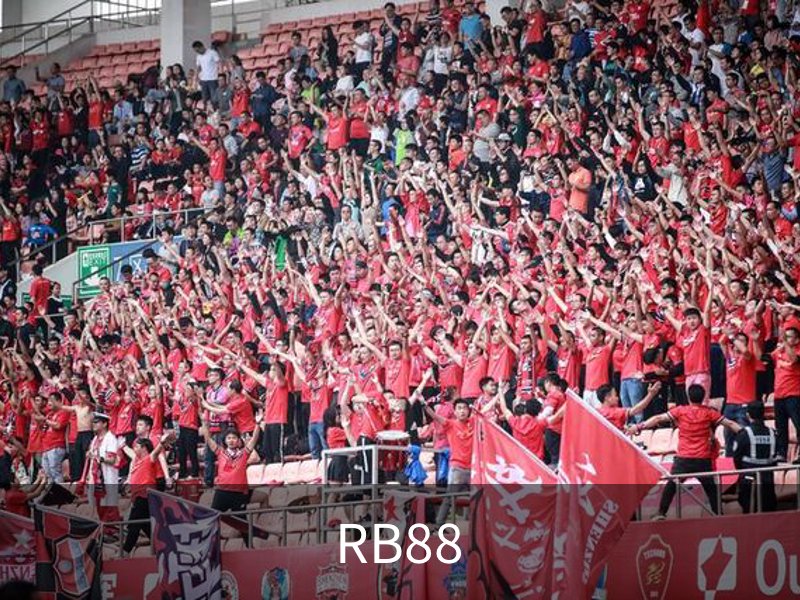 了解RB88